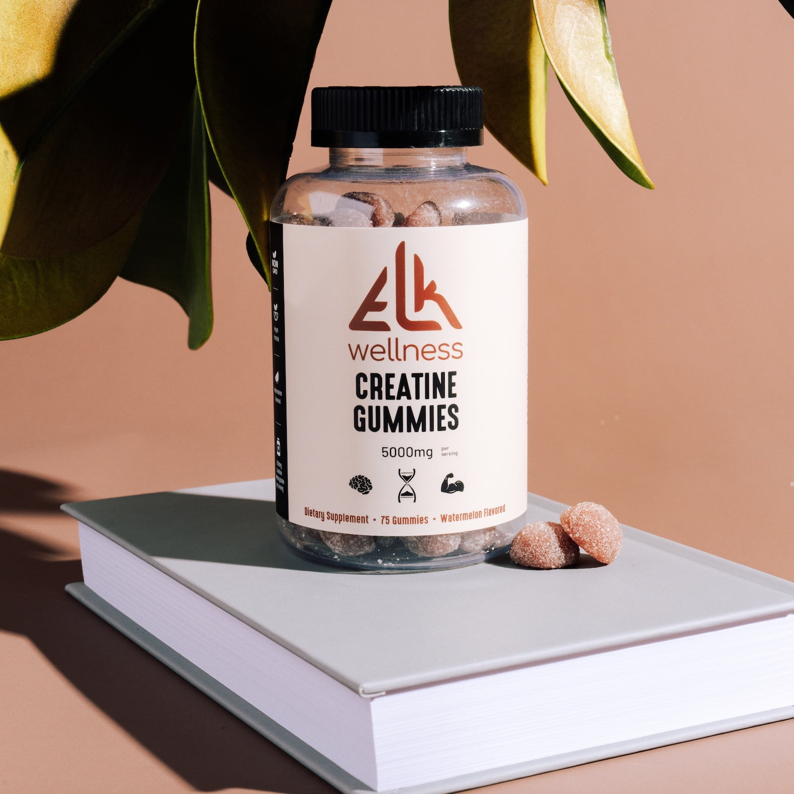 Creatine Gummies Main image