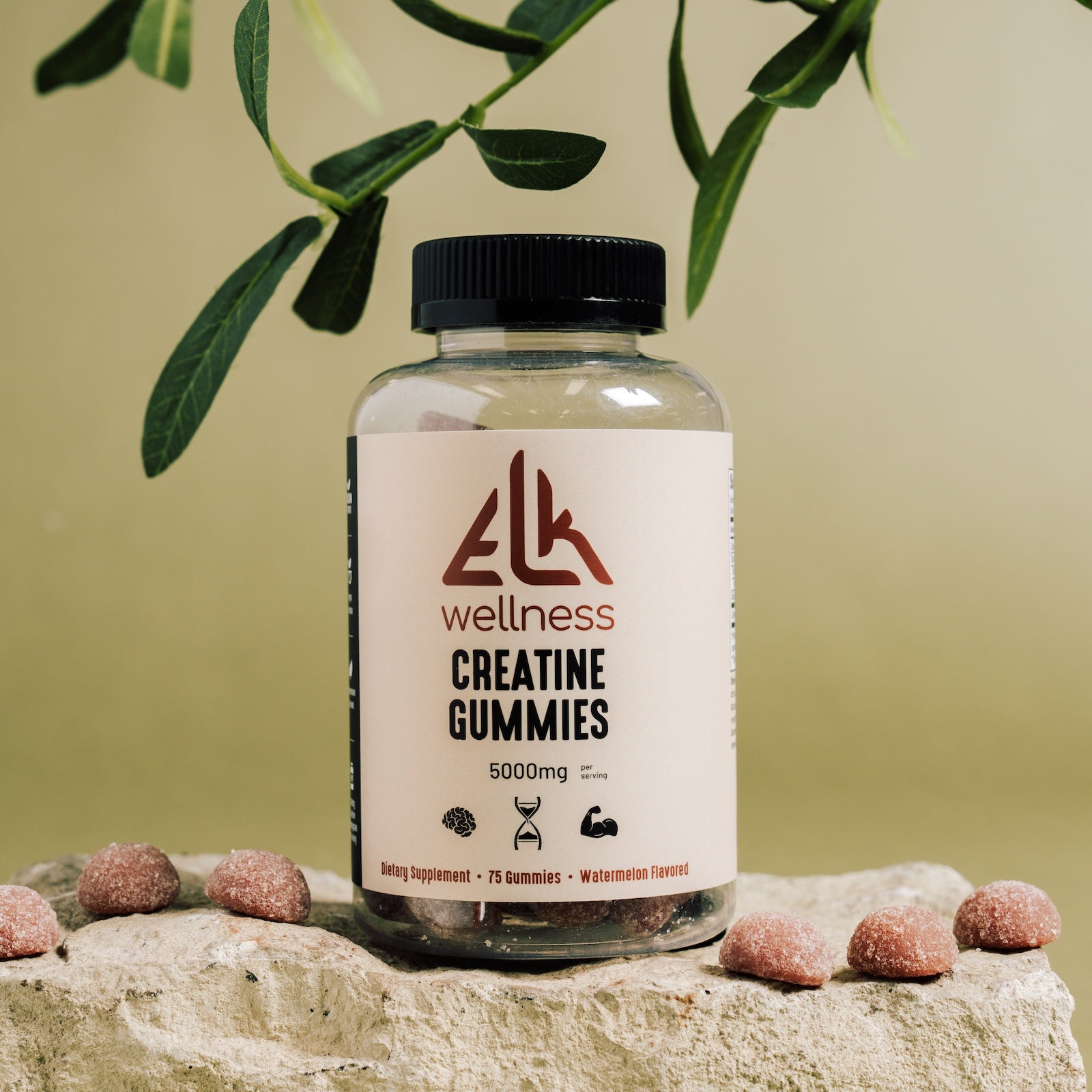 Bottle of Elk Wellness Creatine Gummies on a rock with a green plant in the background