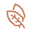 Simple brown leaf icon on a white background